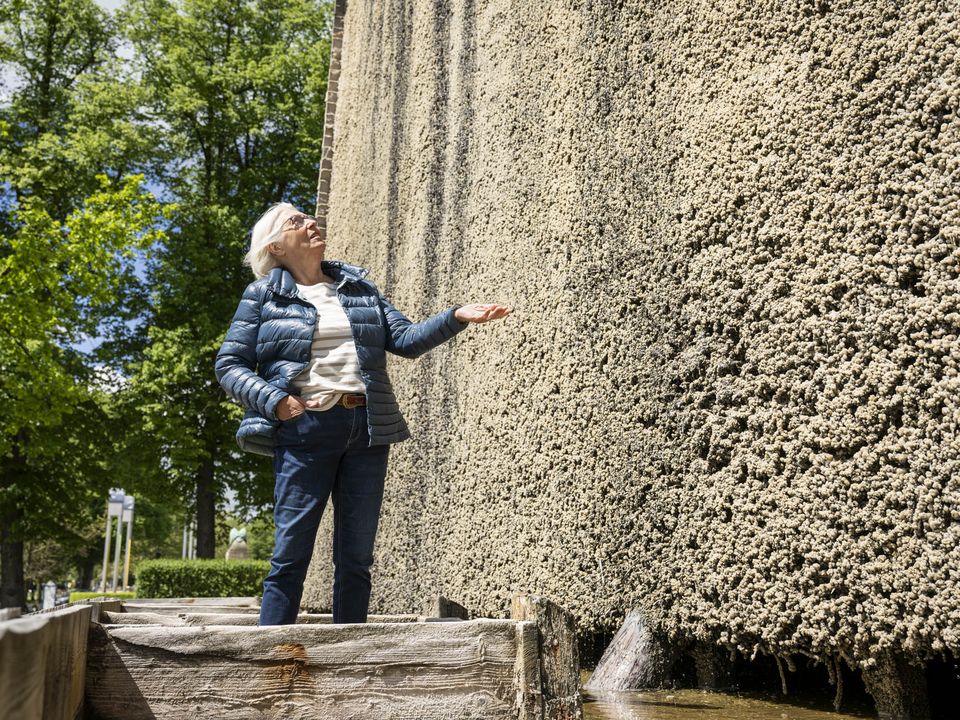 EIne Frau steht im Sonnenschein am Gradierwerk und fühlt das herunterrinnende Wasser
